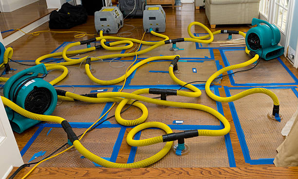 Professional Storm Water Damage Restoration technician working in Oak Ridge, NJ